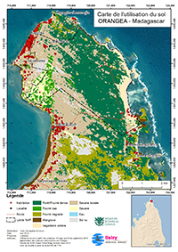 Forest cover map Oronjia